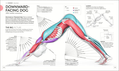 SCIENZA DELLO YOGA. CAPIRE L'ANATOMIA E LA FILOSOFIA PER PERFEZIONARE LA PRATICA