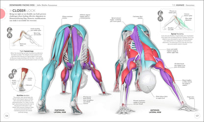 SCIENZA DELLO YOGA. CAPIRE L'ANATOMIA E LA FILOSOFIA PER PERFEZIONARE LA PRATICA
