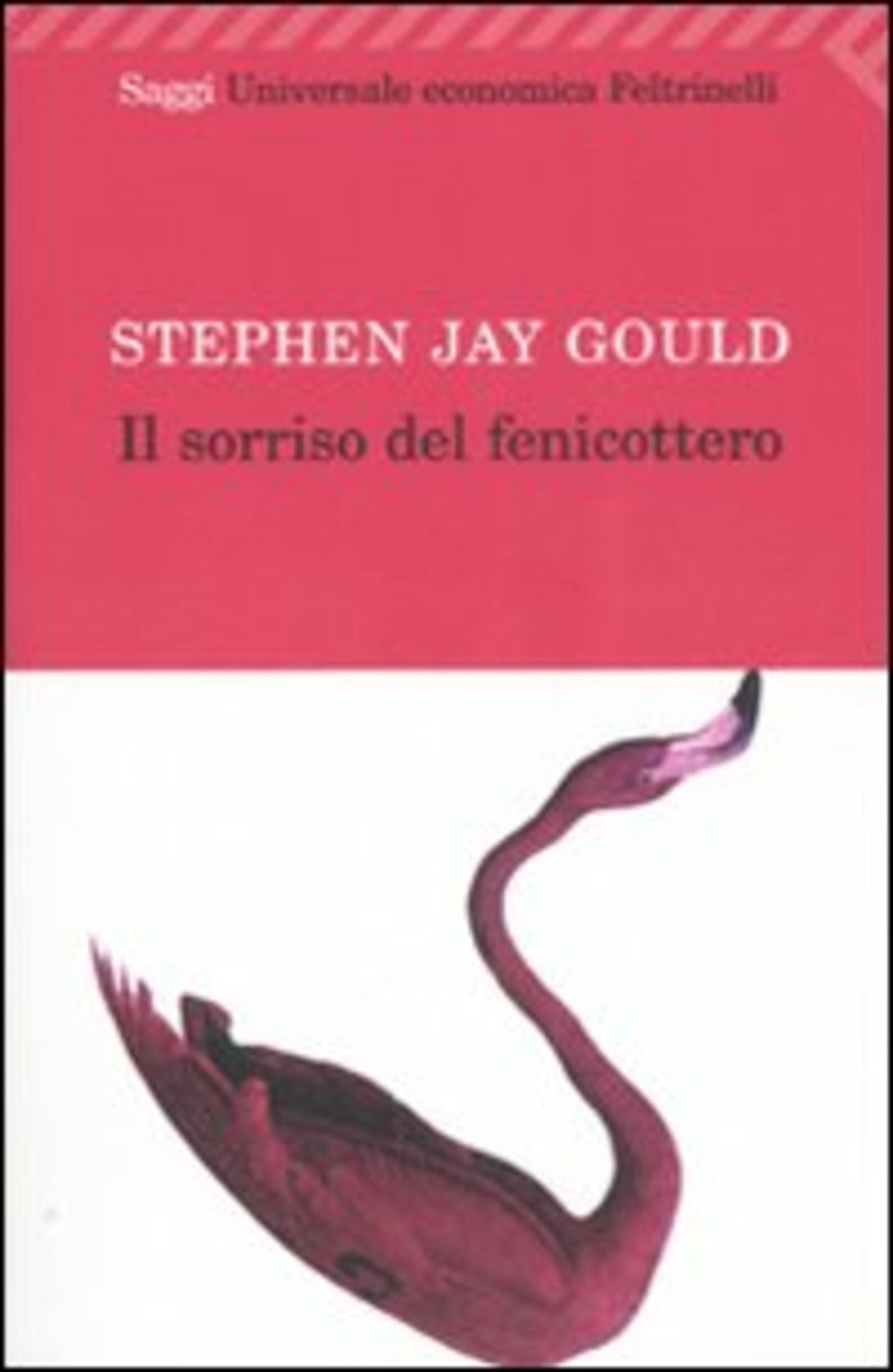 IL SORRISO DEL FENICOTTERO