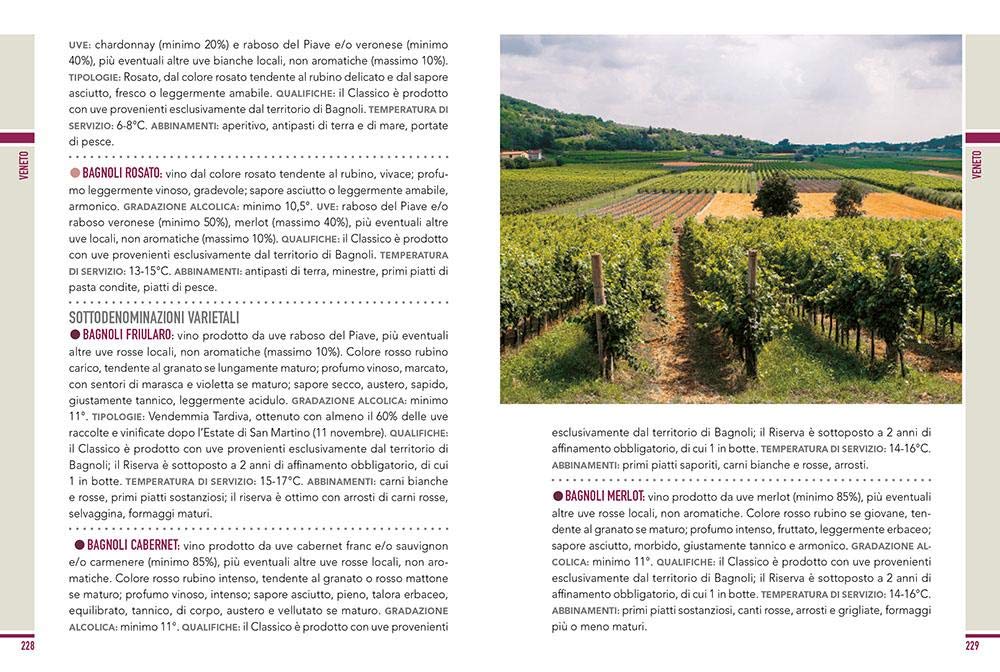 VINO IL LIBRO COMPLETO