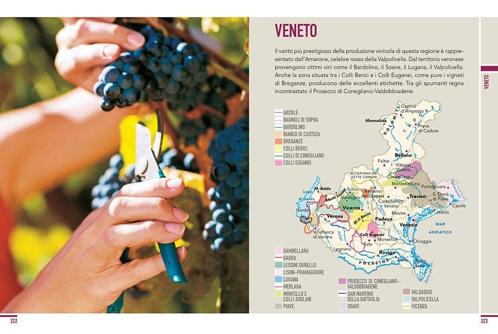 VINO IL LIBRO COMPLETO