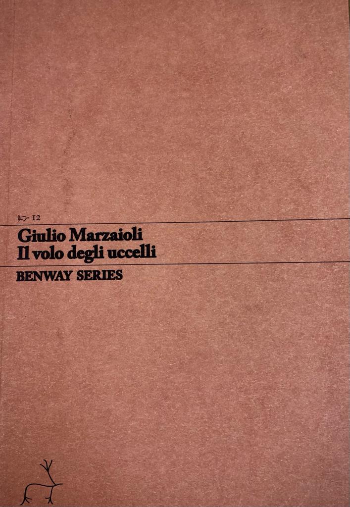 IL VOLO DEGLI UCCELLI