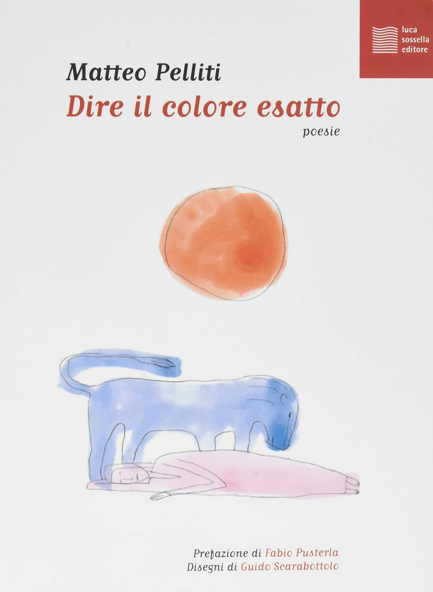DIRE IL COLORE ESATTO