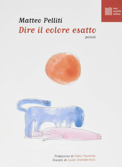 DIRE IL COLORE ESATTO
