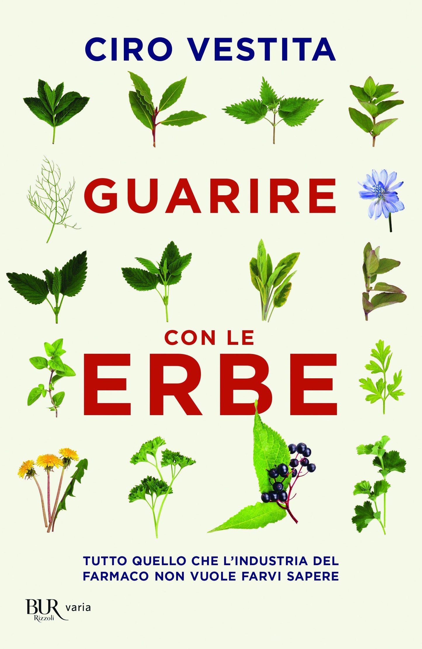 GUARIRE CON LE ERBE. TUTTO QUELLO CHE L'INDUSTRIA DEL FARMACO NON VUOLE FARVI SAPERE