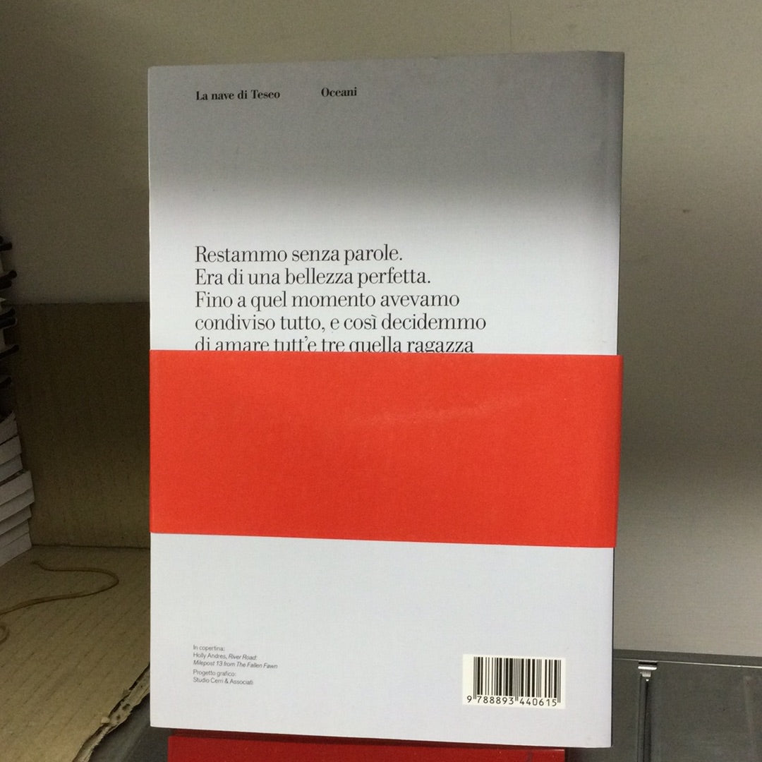 IL LIBRO DEI BALTIMORE