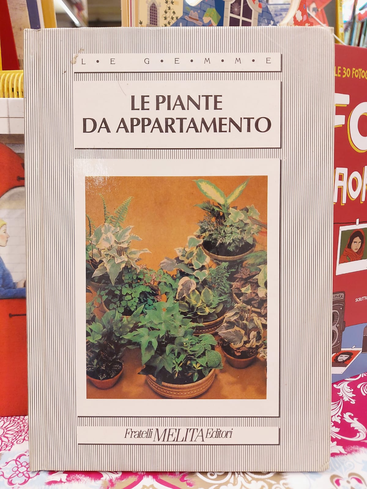 LE PIANTE DA APPARTAMENTO