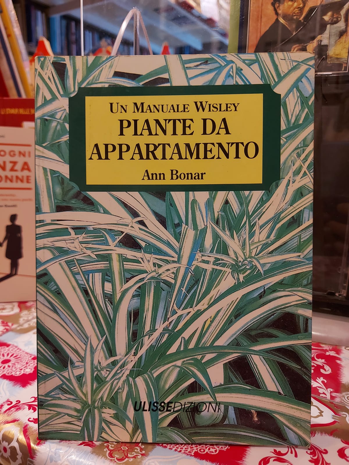 PIANTE DA APPARTAMENTO