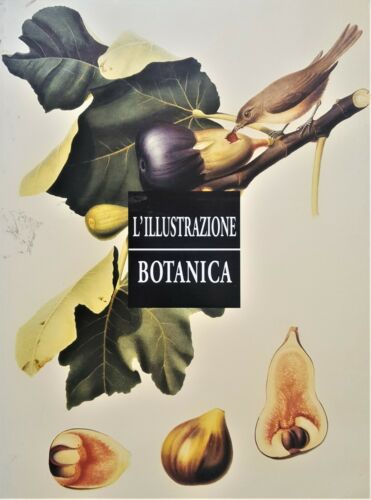 L'ILLUSTRAZIONE BOTANICA