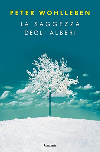 LA SAGGEZZA DEGLI ALBERI
